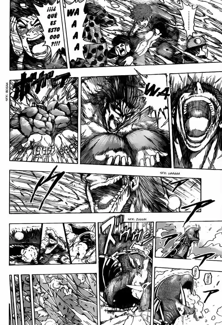 Toriko (2008) - Capítulo 127 - Página 18 - LectorTMOo