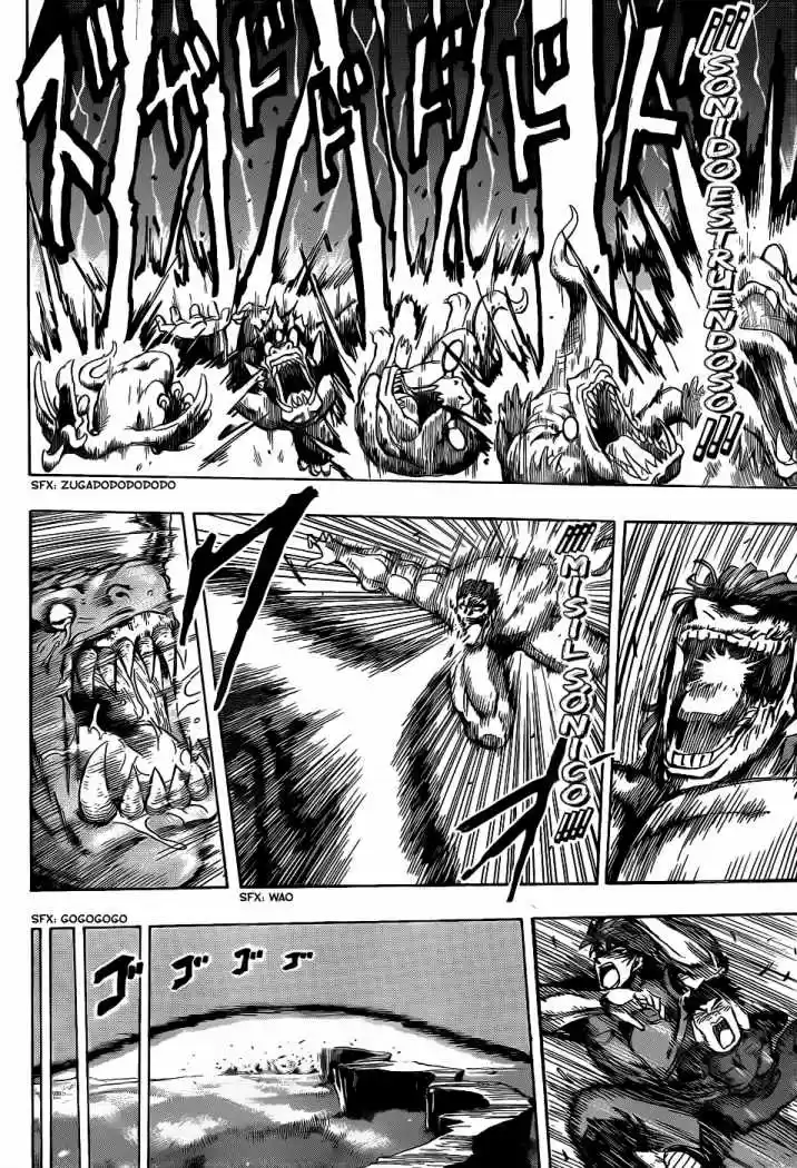 Toriko (2008) - Capítulo 128 - Página 17 - LectorTMOo