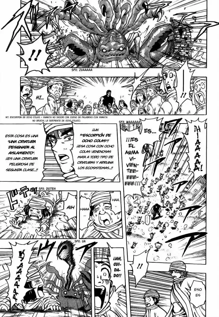Toriko (2008) - Capítulo 129 - Página 14 - LectorTMOo