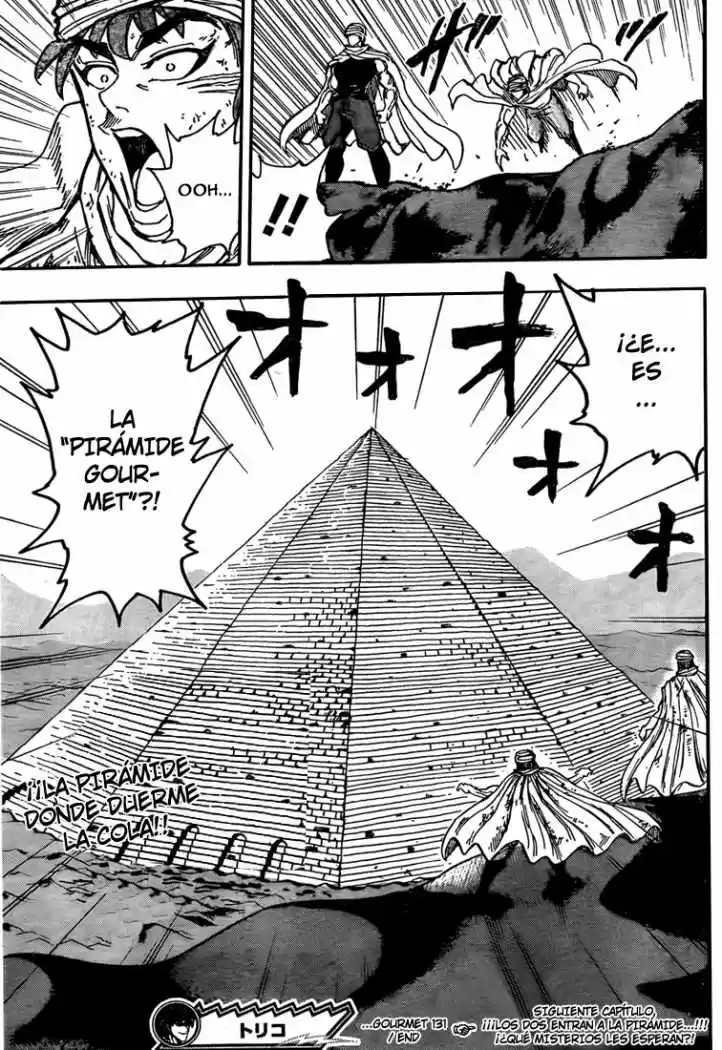 Toriko (2008) - Capítulo 131 - Página 17 - LectorTMOo