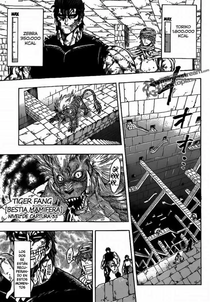 Toriko (2008) - Capítulo 135 - Página 8 - LectorTMOo