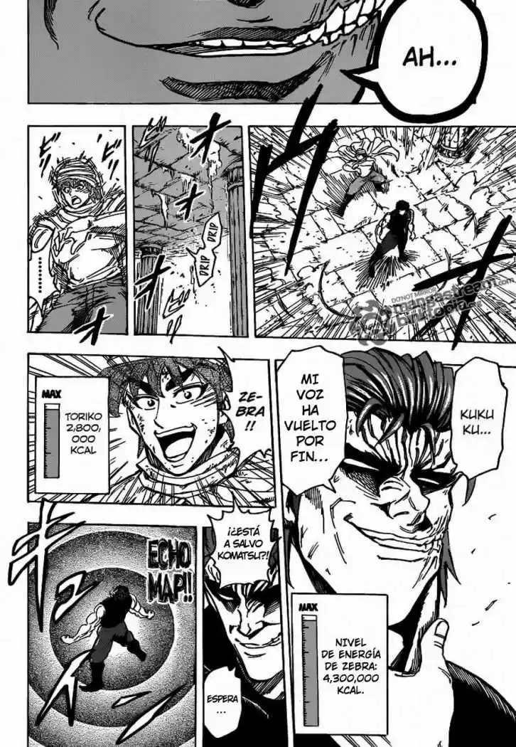 Toriko (2008) - Capítulo 135 - Página 15 - LectorTMOo