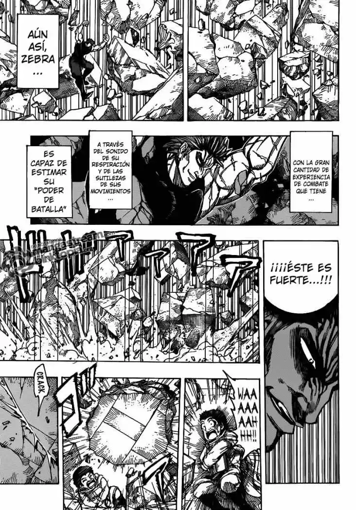 Toriko (2008) - Capítulo 136 - Página 10 - LectorTMOo