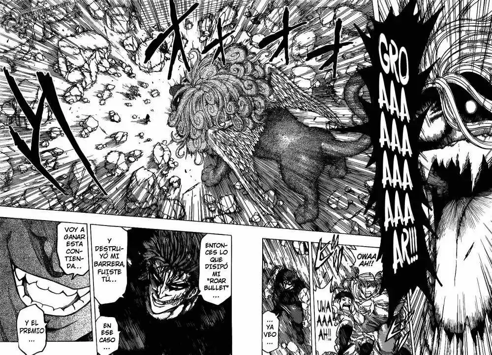 Toriko (2008) - Capítulo 136 - Página 13 - LectorTMOo