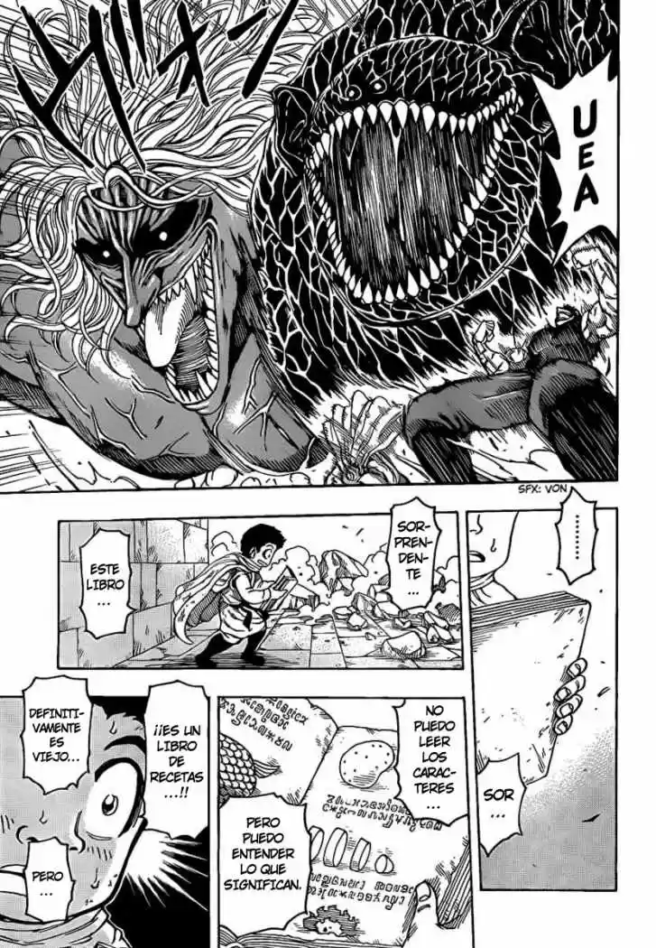 Toriko (2008) - Capítulo 137 - Página 6 - LectorTMOo