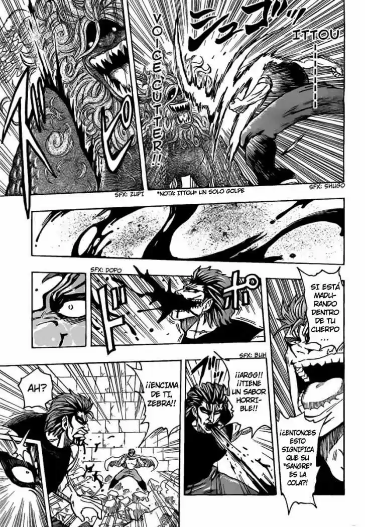Toriko (2008) - Capítulo 137 - Página 10 - LectorTMOo