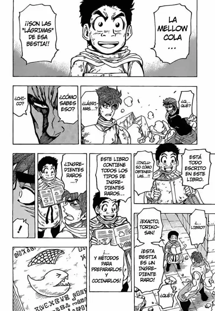 Toriko (2008) - Capítulo 137 - Página 13 - LectorTMOo