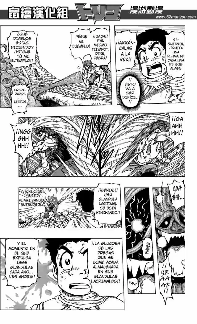 Toriko (2008) - Capítulo 138 - Página 15 - LectorTMOo