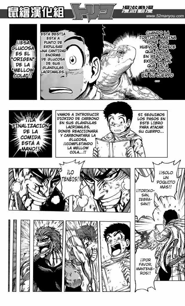Toriko (2008) - Capítulo 138 - Página 16 - LectorTMOo