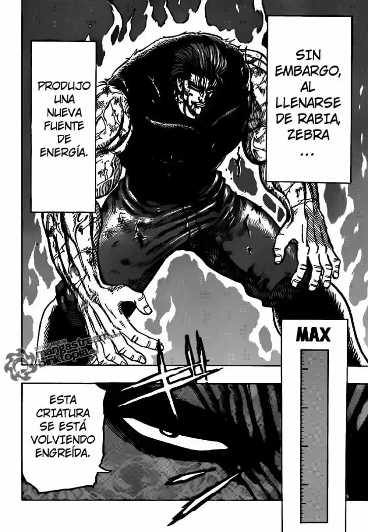 Toriko (2008) - Capítulo 139 - Página 15 - LectorTMOo