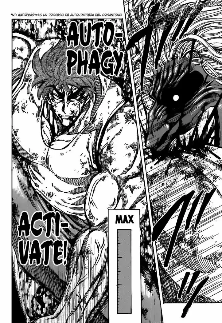 Toriko (2008) - Capítulo 139 - Página 17 - LectorTMOo