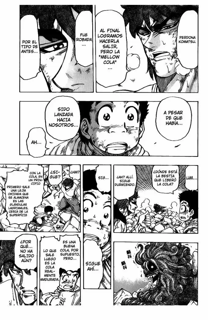 Toriko (2008) - Capítulo 141 - Página 13 - LectorTMOo