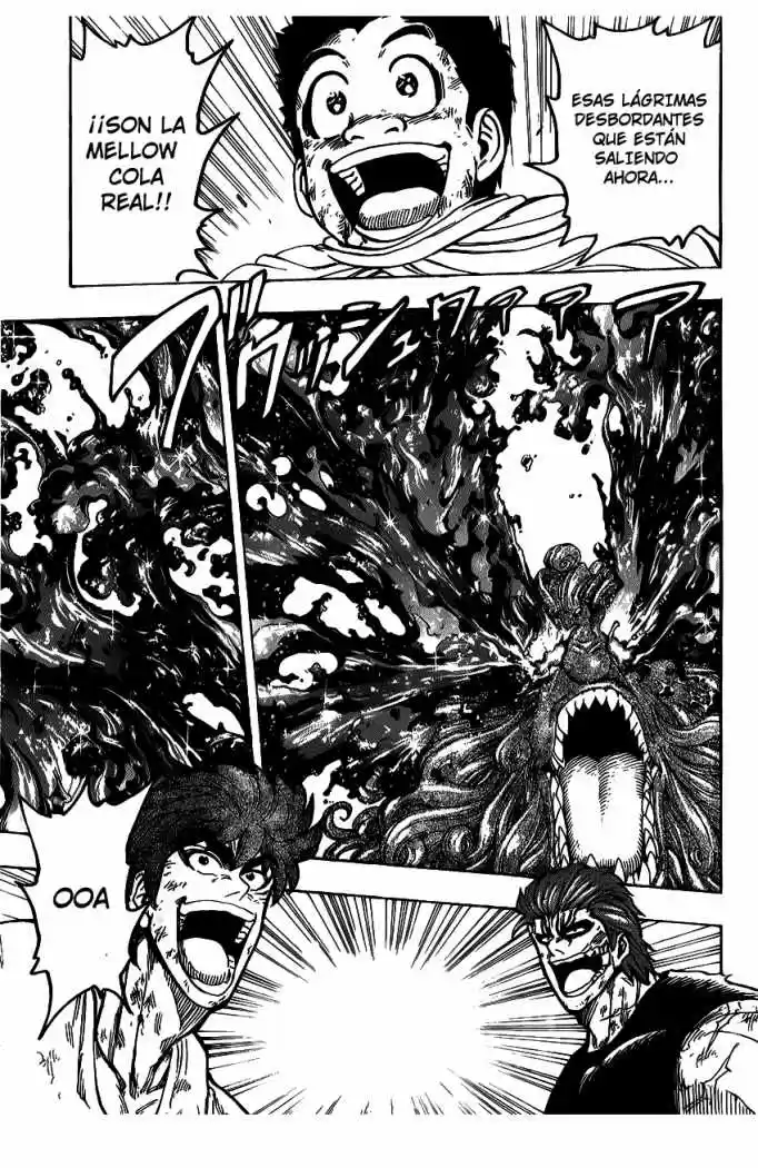 Toriko (2008) - Capítulo 141 - Página 15 - LectorTMOo