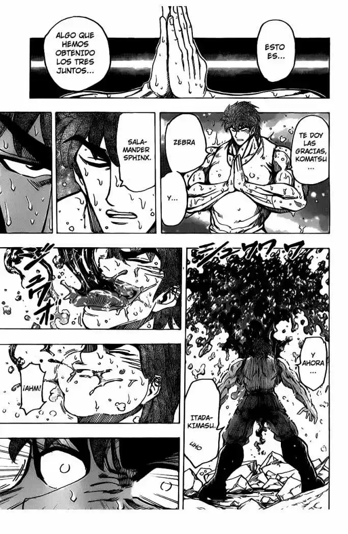 Toriko (2008) - Capítulo 141 - Página 17 - LectorTMOo