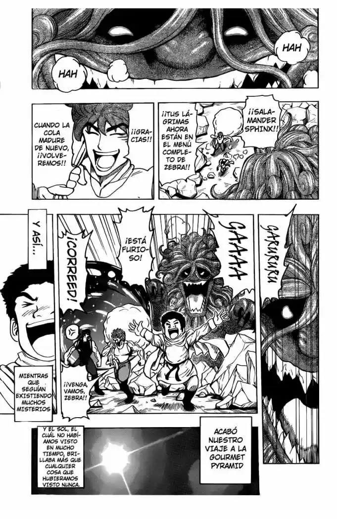 Toriko (2008) - Capítulo 142 - Página 12 - LectorTMOo