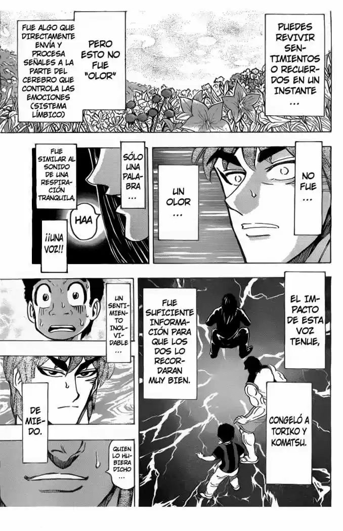 Toriko (2008) - Capítulo 144 - Página 14 - LectorTMOo