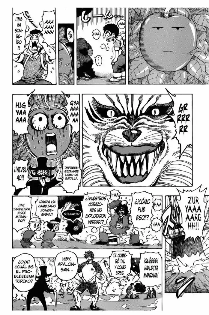 Toriko (2008) - Capítulo 146 - Página 17 - LectorTMOo