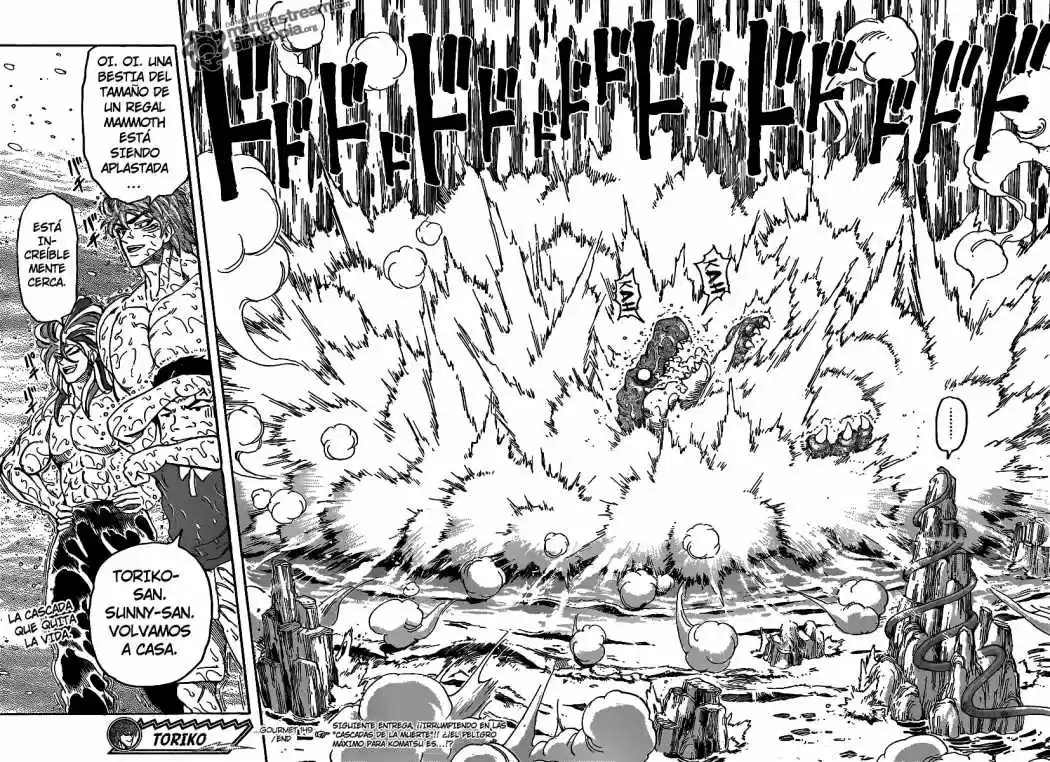 Toriko (2008) - Capítulo 149 - Página 17 - LectorTMOo