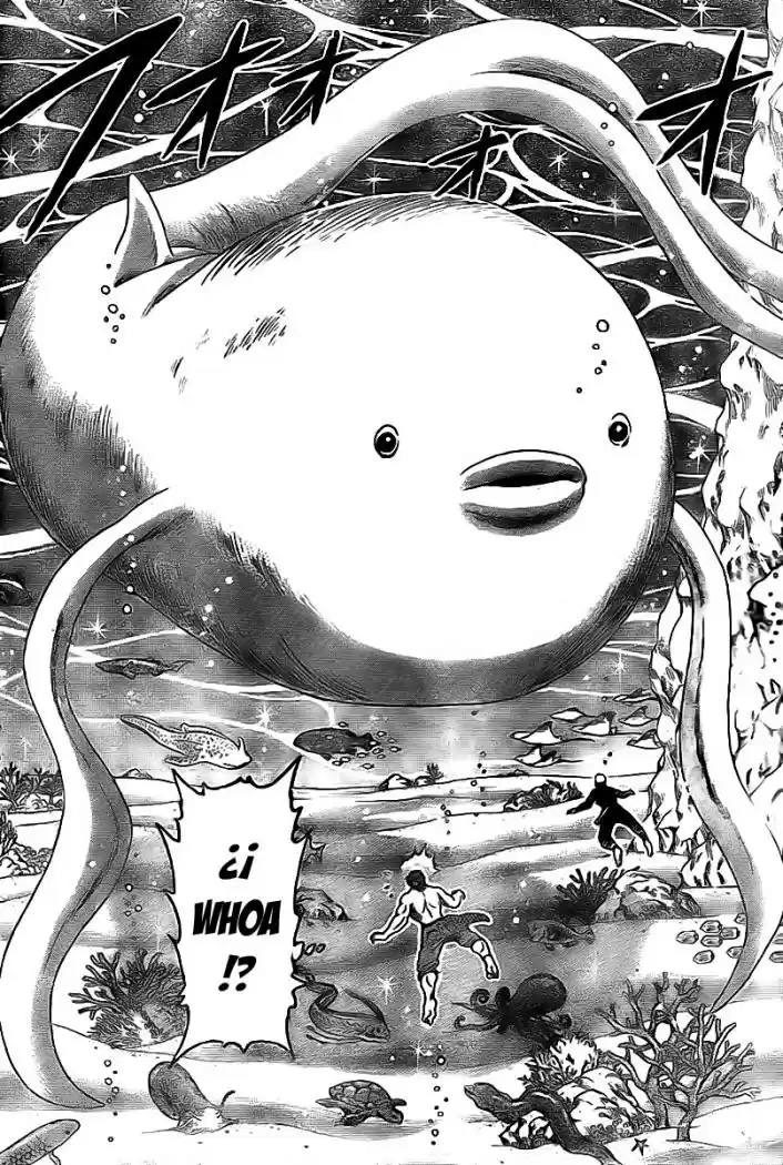 Toriko (2008) - Capítulo 15 - Página 12 - LectorTMOo