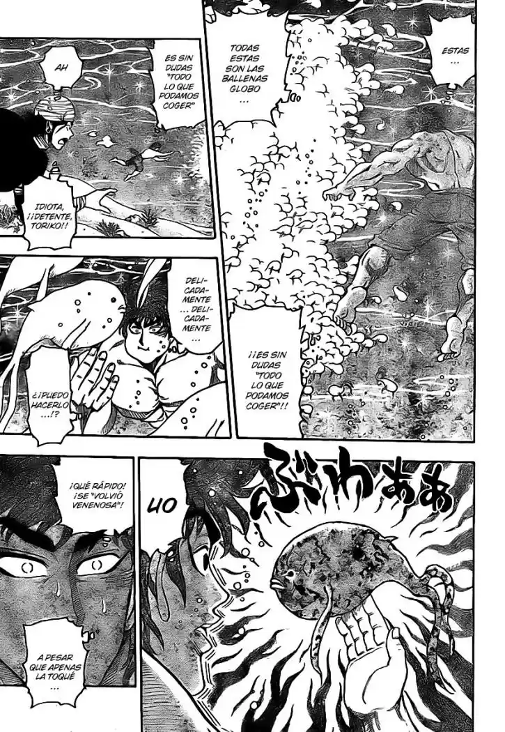 Toriko (2008) - Capítulo 15 - Página 15 - LectorTMOo