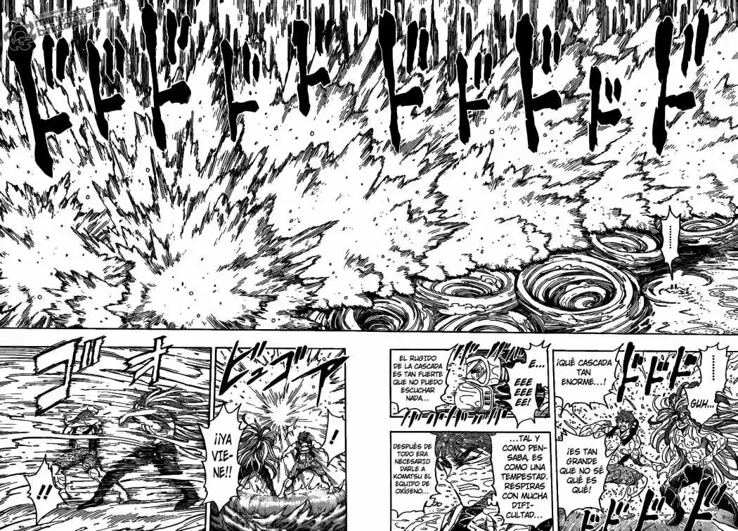 Toriko (2008) - Capítulo 150 - Página 14 - LectorTMOo