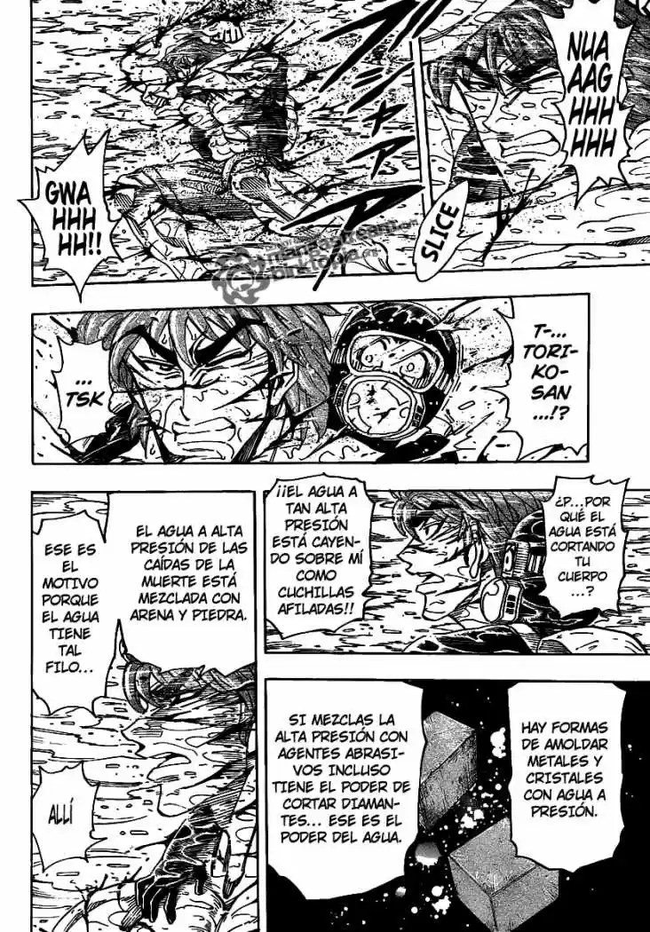 Toriko (2008) - Capítulo 150 - Página 15 - LectorTMOo