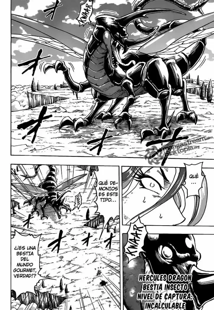 Toriko (2008) - Capítulo 151 - Página 13 - LectorTMOo