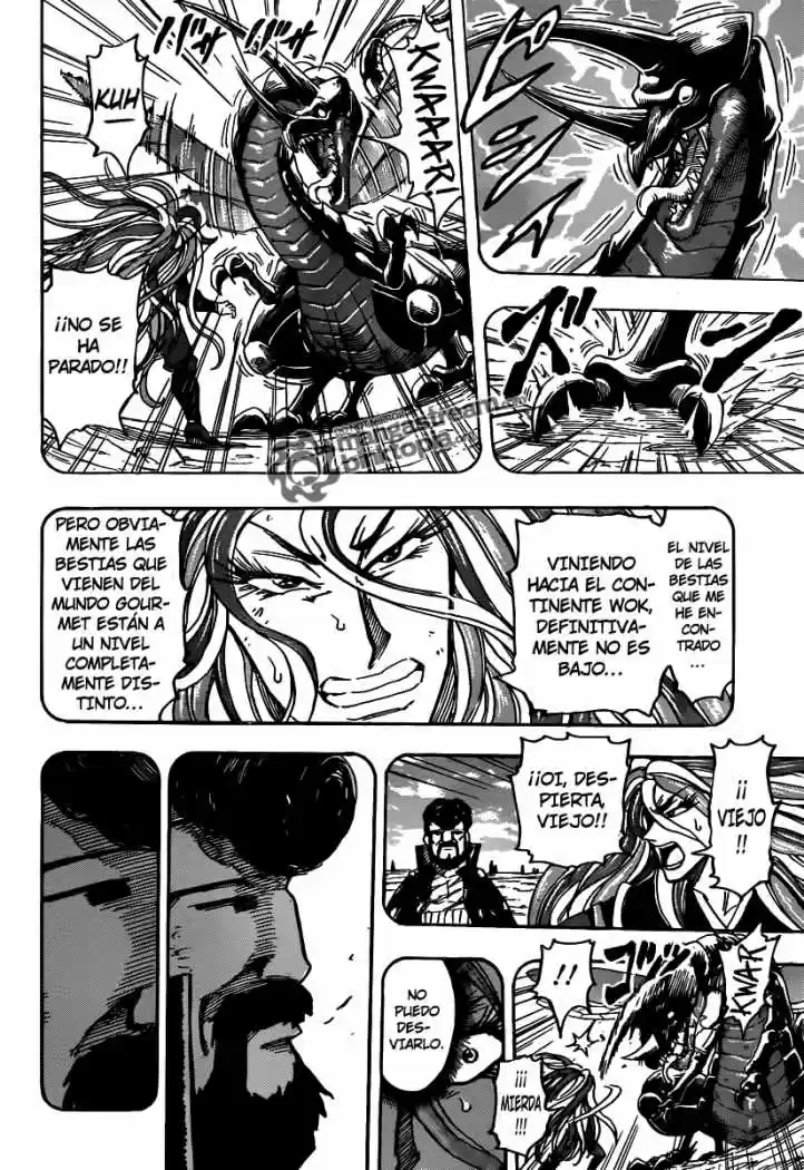 Toriko (2008) - Capítulo 151 - Página 15 - LectorTMOo