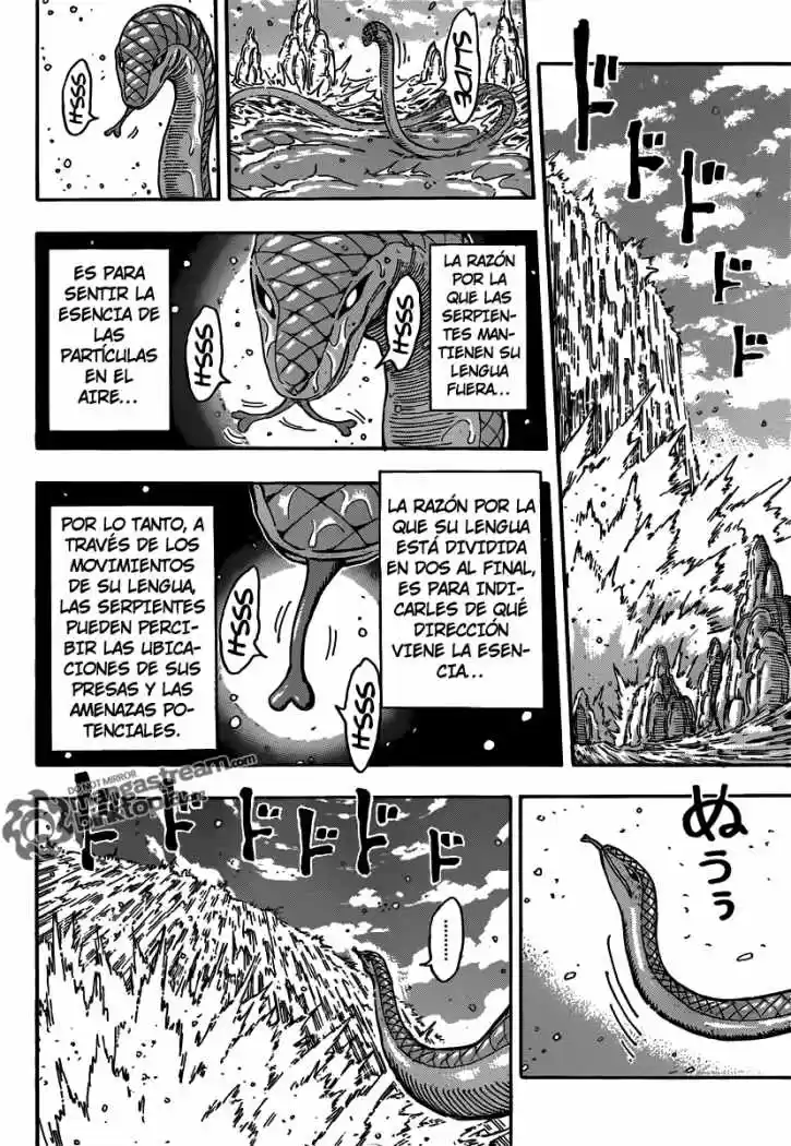 Toriko (2008) - Capítulo 152 - Página 17 - LectorTMOo