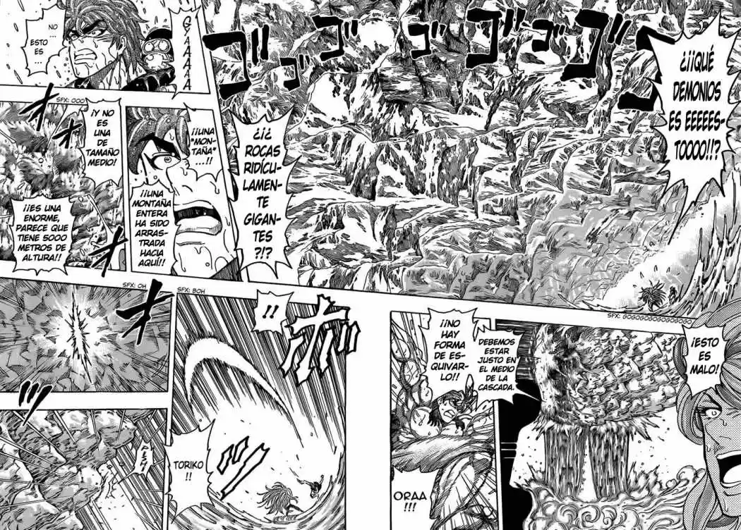 Toriko (2008) - Capítulo 153 - Página 10 - LectorTMOo