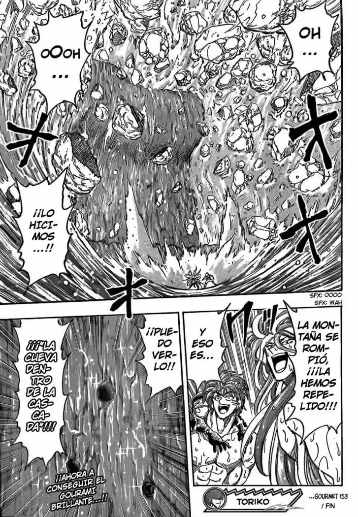 Toriko (2008) - Capítulo 153 - Página 18 - LectorTMOo
