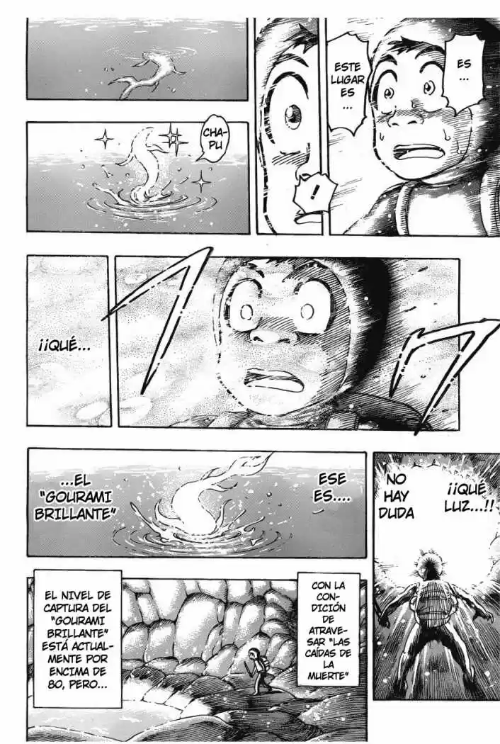 Toriko (2008) - Capítulo 154 - Página 15 - LectorTMOo
