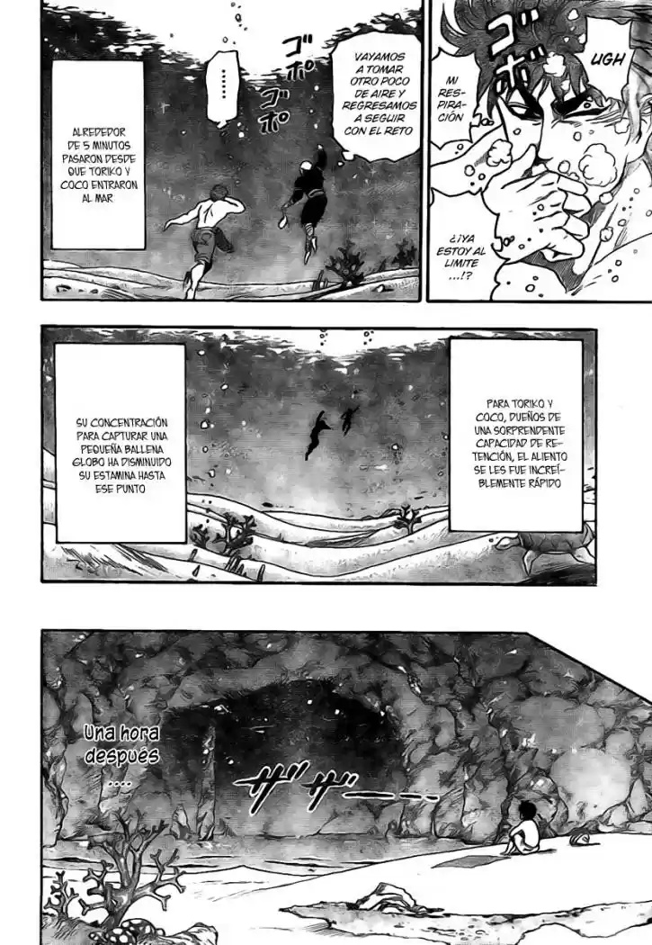 Toriko (2008) - Capítulo 16 - Página 14 - LectorTMOo