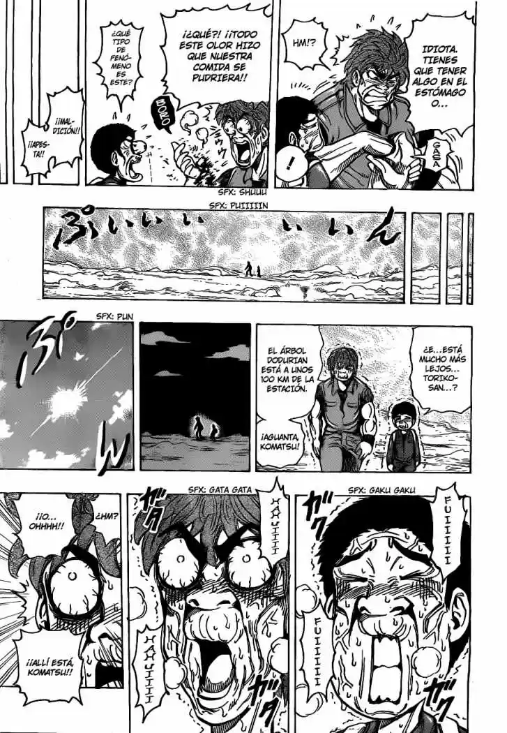 Toriko (2008) - Capítulo 177 - Página 14 - LectorTMOo