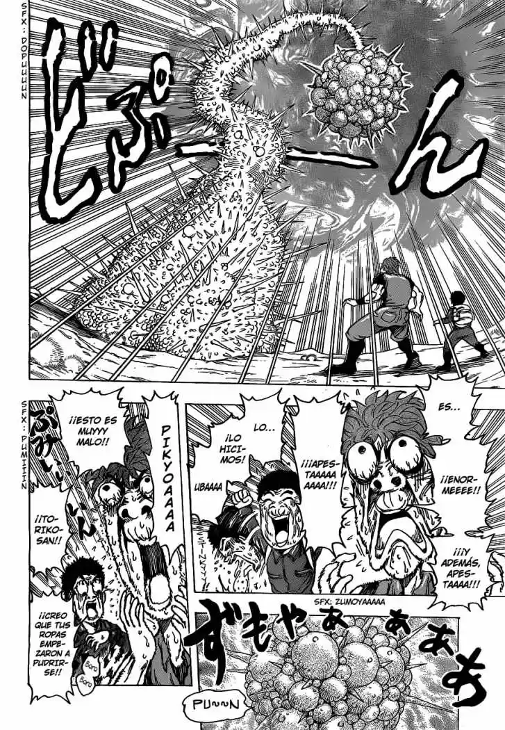 Toriko (2008) - Capítulo 177 - Página 15 - LectorTMOo