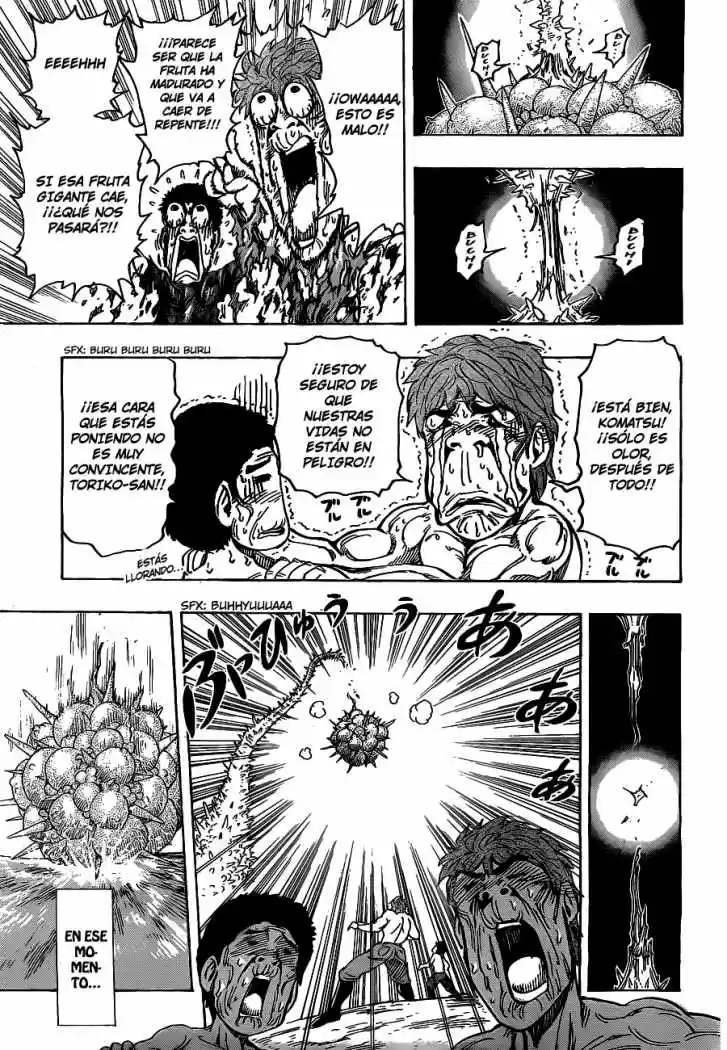 Toriko (2008) - Capítulo 177 - Página 16 - LectorTMOo
