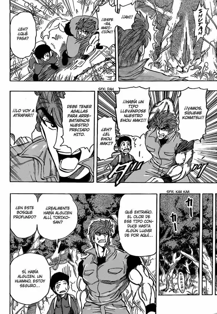 Toriko (2008) - Capítulo 179 - Página 17 - LectorTMOo