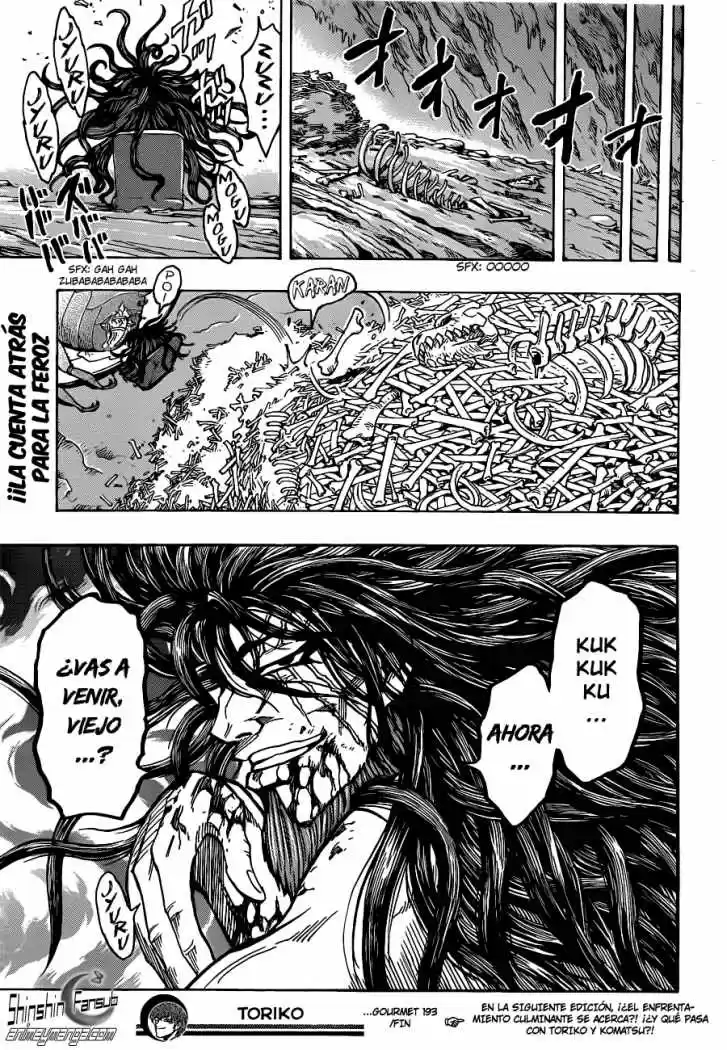 Toriko (2008) - Capítulo 193 - Página 18 - LectorTMOo