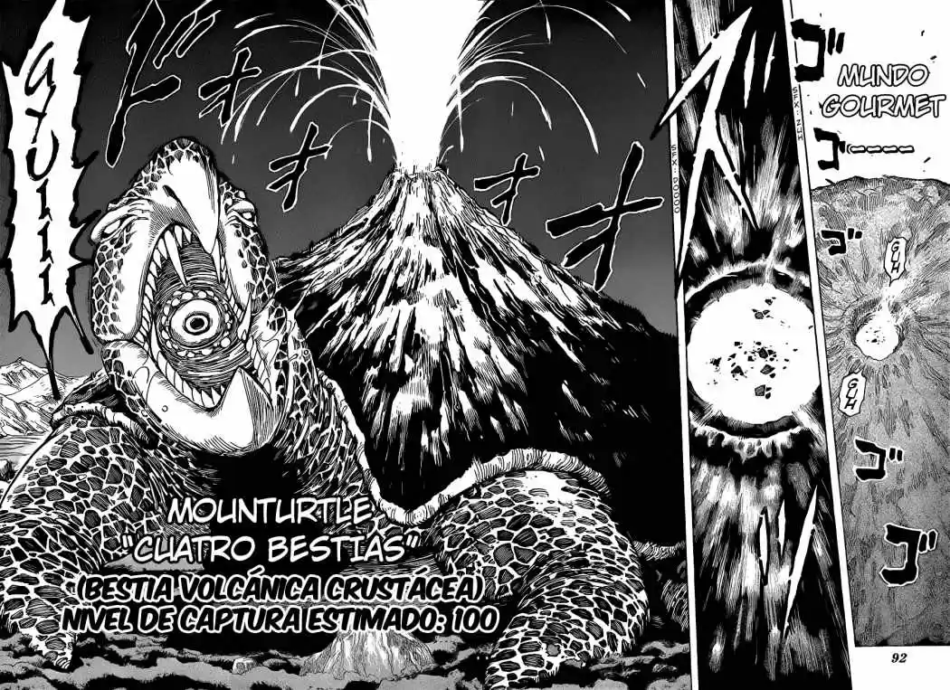 Toriko (2008) - Capítulo 194 - Página 9 - LectorTMOo