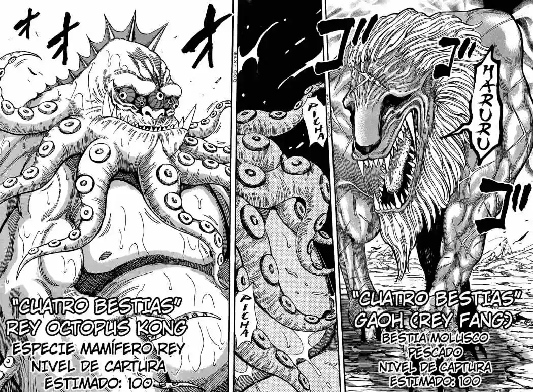 Toriko (2008) - Capítulo 194 - Página 11 - LectorTMOo