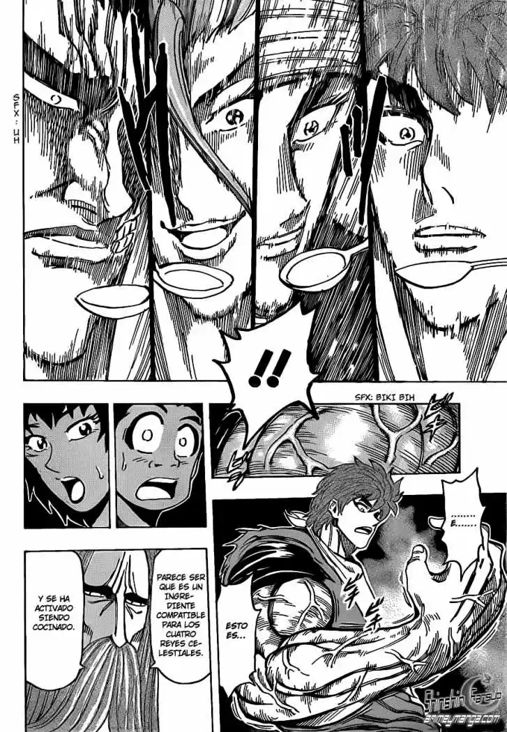 Toriko (2008) - Capítulo 195 - Página 13 - LectorTMOo