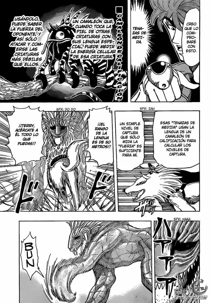 Toriko (2008) - Capítulo 197 - Página 14 - LectorTMOo