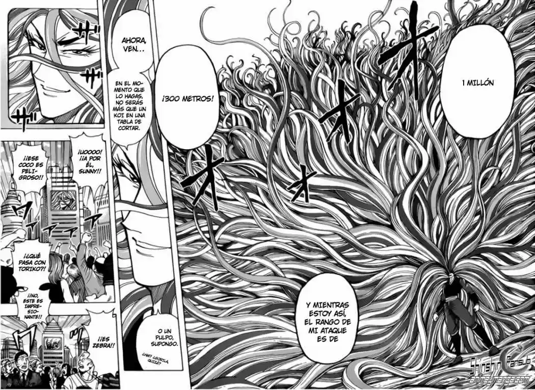 Toriko (2008) - Capítulo 198 - Página 13 - LectorTMOo