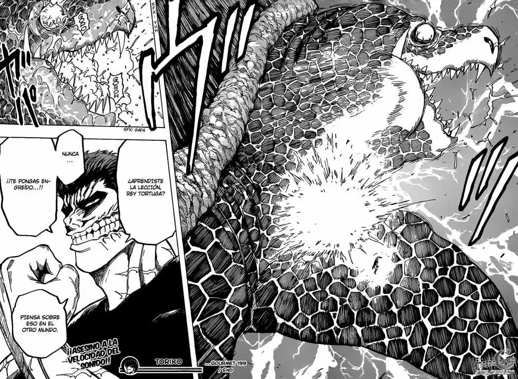 Toriko (2008) - Capítulo 199 - Página 19 - LectorTMOo