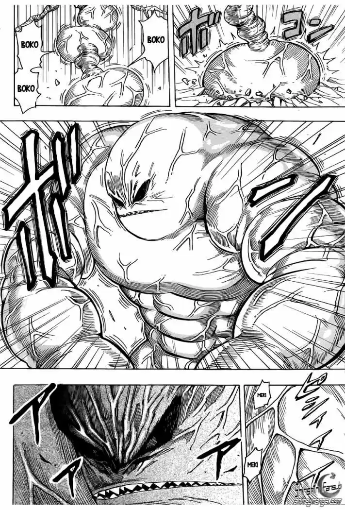 Toriko (2008) - Capítulo 201 - Página 12 - LectorTMOo