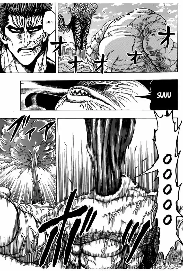 Toriko (2008) - Capítulo 201 - Página 13 - LectorTMOo