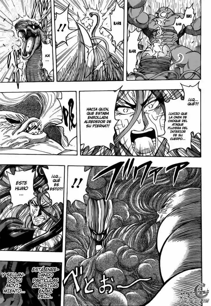Toriko (2008) - Capítulo 202 - Página 13 - LectorTMOo