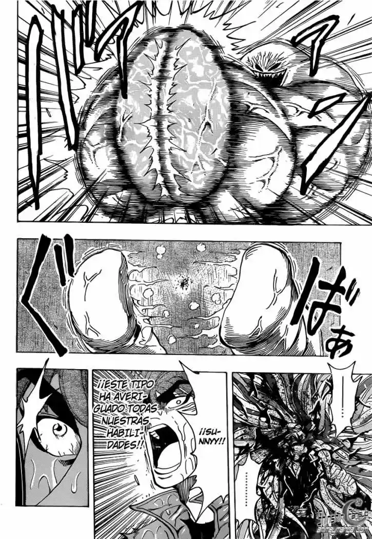 Toriko (2008) - Capítulo 202 - Página 14 - LectorTMOo