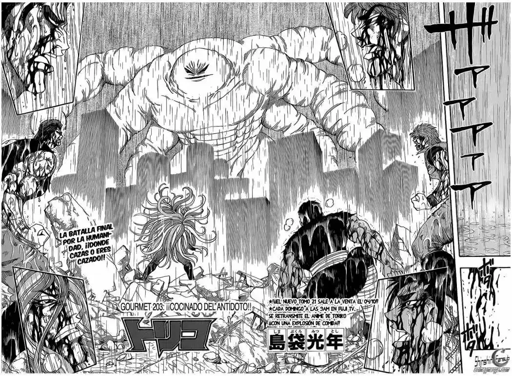 Toriko (2008) - Capítulo 203 - Página 7 - LectorTMOo