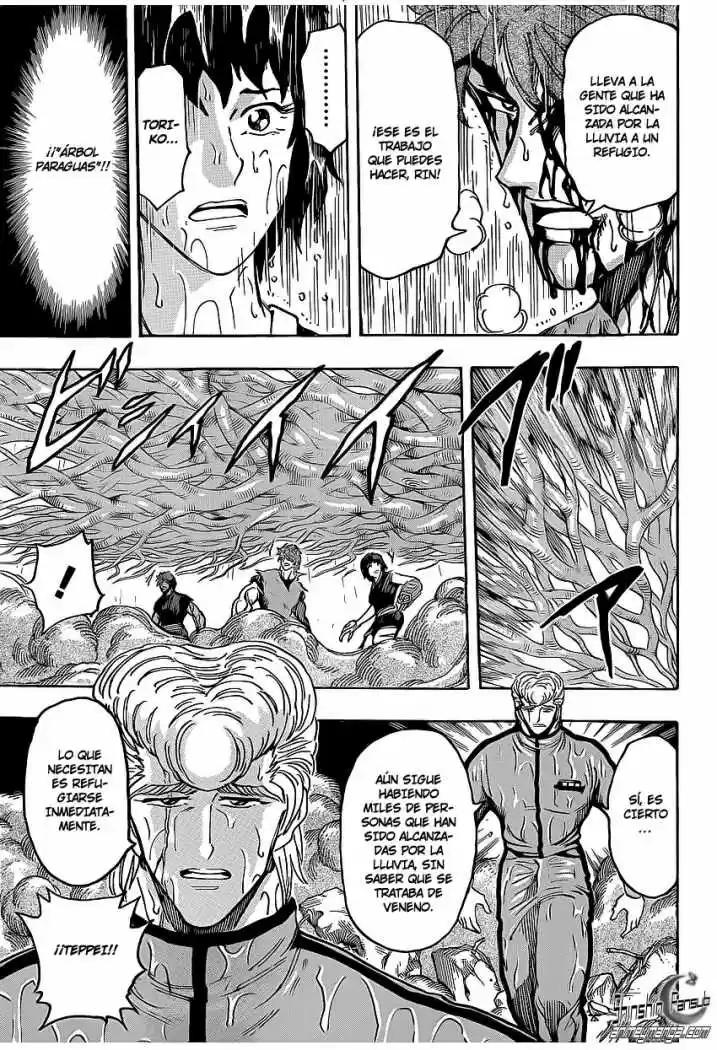 Toriko (2008) - Capítulo 203 - Página 9 - LectorTMOo